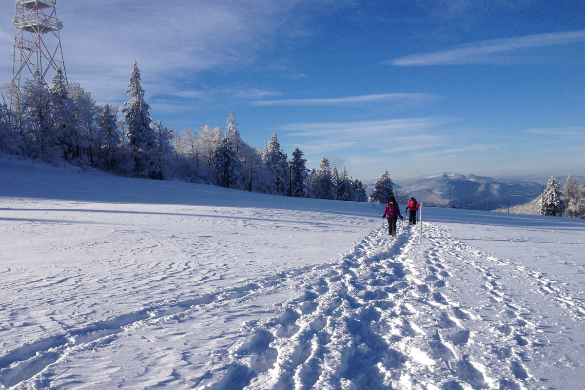 Winterwandern Solothurn